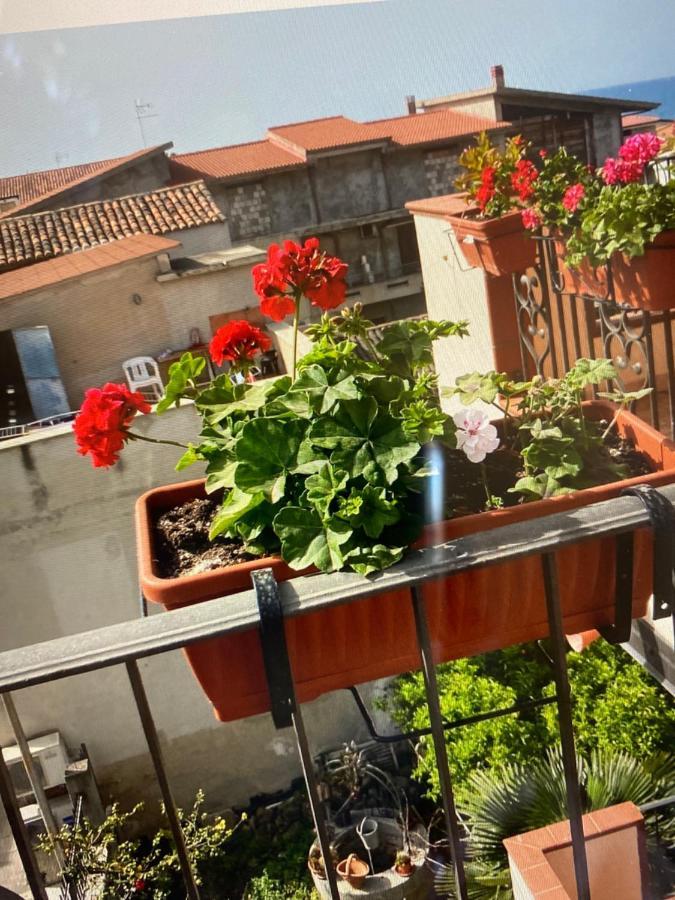Holiday home La Grecita E Il Mare *